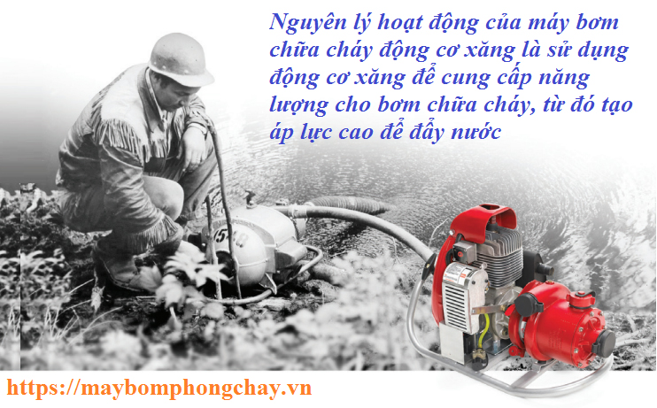 Tầm quan trọng của bảo trì máy bơm chữa cháy xăng Tầm quan trọng của bảo trì máy bơm chữa cháy xăng