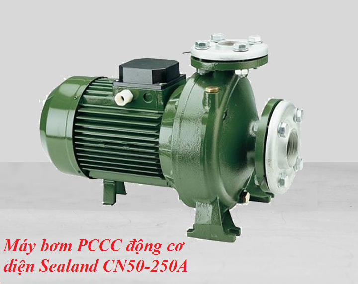 Máy bơm PCCC động cơ điện Sealand CN50-250A Máy bơm PCCC động cơ điện Sealand